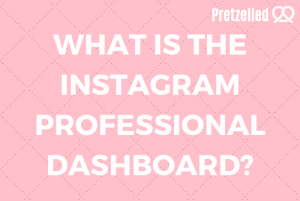 What is the Instagram Professional Dashboard?